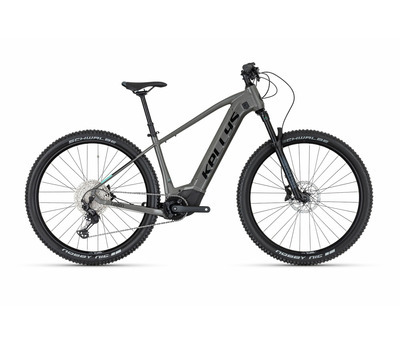 TAYEN R90 P 29" 725 Wh 3998859