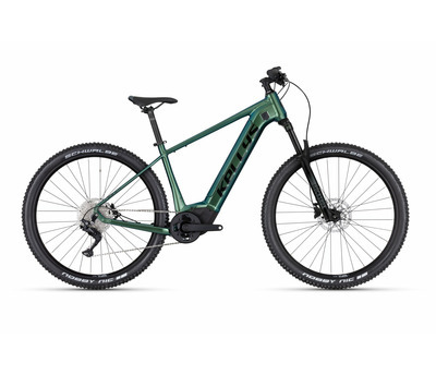 TYGON R50 P MAGIC GREEN 29" 820 Wh 3998863