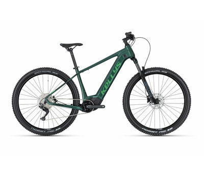 TYGON R50 P FOREST 29" 725 Wh 4004116