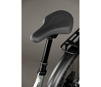 THEOS RSX70 P TITANIUM 29/27.5" 820 Wh