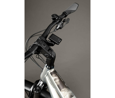 THEOS RSX70 P TITANIUM 29/27.5" 820 Wh