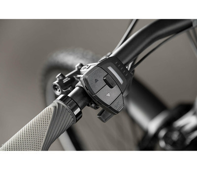 THEOS RSX70 P TITANIUM 29/27.5" 820 Wh