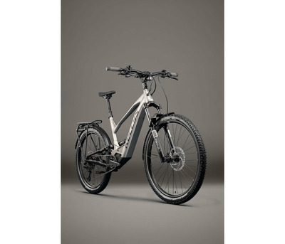 THEOS RSX70 P TITANIUM 29/27.5" 820 Wh