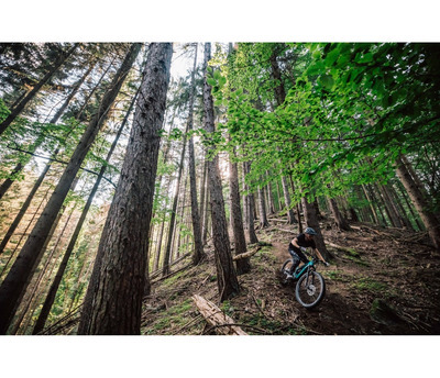 THEOS F60 SH TEAL 29/27.5" 725 Wh