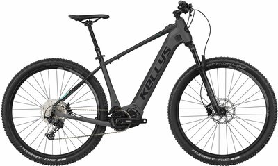 TAYEN R90 SH 29" 725 Wh