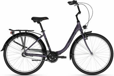 AVERY 10 THUNDERSTORM PURPLE