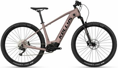 TAYEN R50 P ROSE GOLD 29" 725 Wh