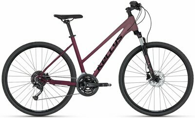 PHEEBE 20 ROSY RED