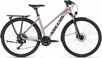 CRISTY 50 ROSE GOLD