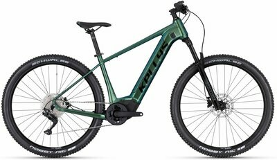 TYGON R50 P MAGIC GREEN 29" 820 Wh