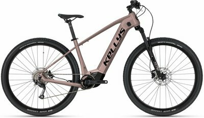 TAYEN R10 AIR P ROSE GOLD 29" 725 Wh