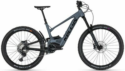 THEOS R50 P STEEL BLUE 29/27.5" 725 Wh