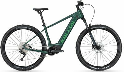 TYGON R50 P FOREST 29" 725 Wh
