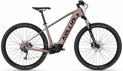 TAYEN R10 P ROSE GOLD 29" 725 Wh
