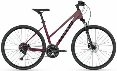 PHEEBE 20 ROSY RED