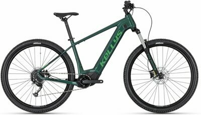 TYGON R10 P FOREST GREEN 29" 725 Wh