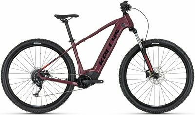 TAYEN R10 P PINK 29" 725 Wh