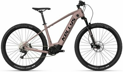 TAYEN R50 P ROSE GOLD 27.5" 725 Wh