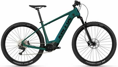 TYGON R50 P MAGIC GREEN 29" 725Wh