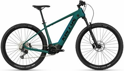 TYGON R90 P MAGIC GREEN 29" 820 Wh