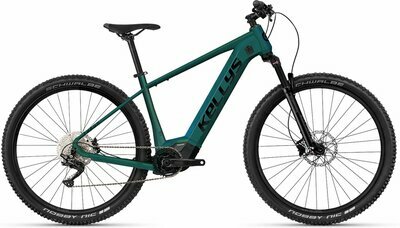 TYGON R50 P MAGIC GREEN 29" 820Wh