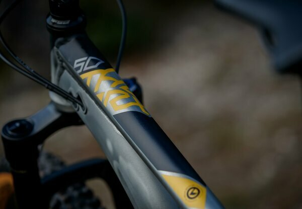 THORX 50 29" 5.