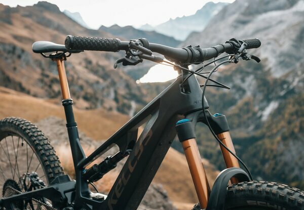 THEOS F90 SH 29/27.5" 820 Wh 4.
