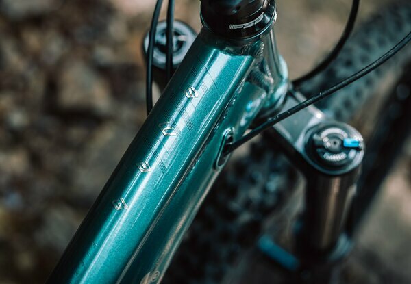 SWAG 50 EMERALD GREEN 29"/27.5" 4.