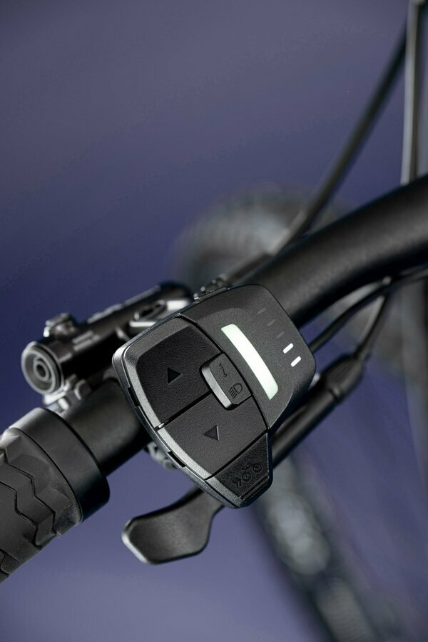 THEOS RS90 P ROYAL PURPLE 29/27.5" 900 Wh 3.