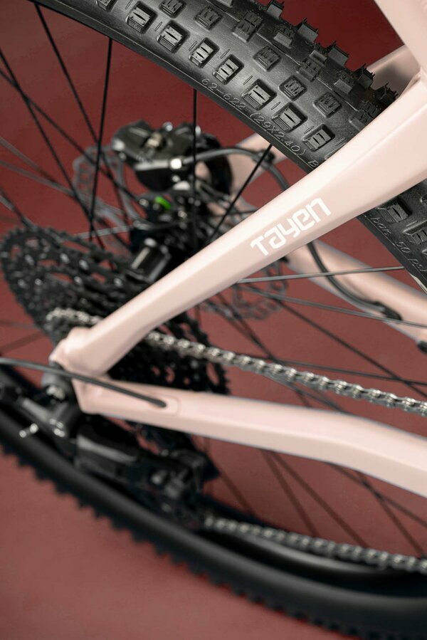 TAYEN RS50 P ROSE GOLD 29" 820 Wh 6.