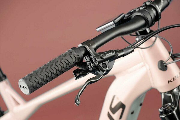 TAYEN RS50 P ROSE GOLD 29" 820 Wh 5.