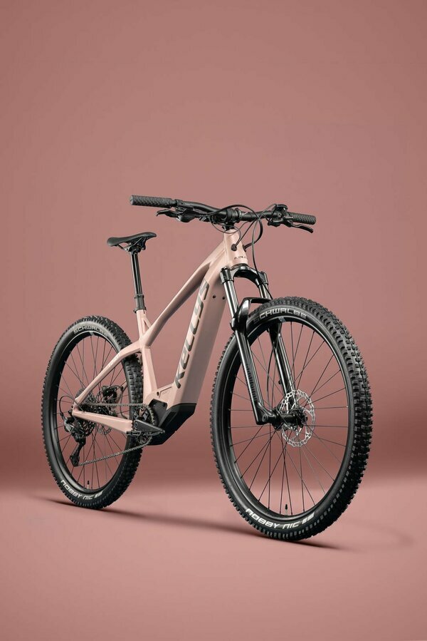 TAYEN RS50 P ROSE GOLD 29" 820 Wh 4.