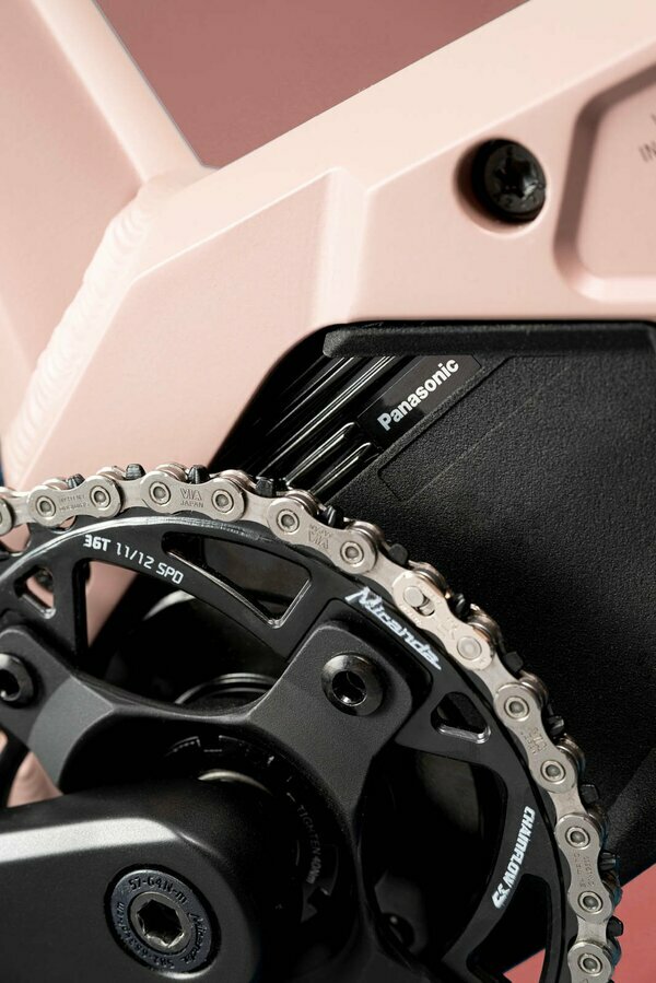 TAYEN RS50 P ROSE GOLD 29" 820 Wh 2.