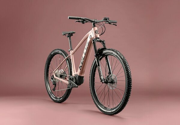 TAYEN R10 P ROSE GOLD 29" 725Wh 1.