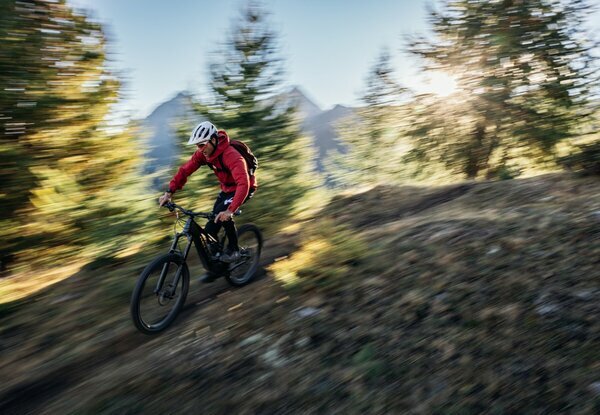 THEOS F70 SH 29/27.5" 820 Wh 2.