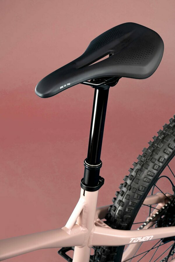 TAYEN RS50 P ROSE GOLD 29" 820 Wh 7.