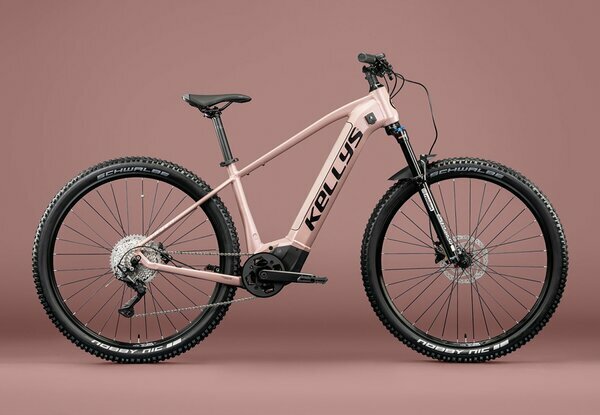TAYEN R10 P ROSE GOLD 29" 725Wh 4.