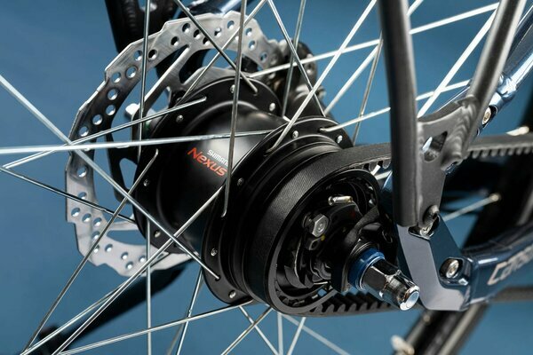 CARSON 70 BELT QUARZ BLUE 3.