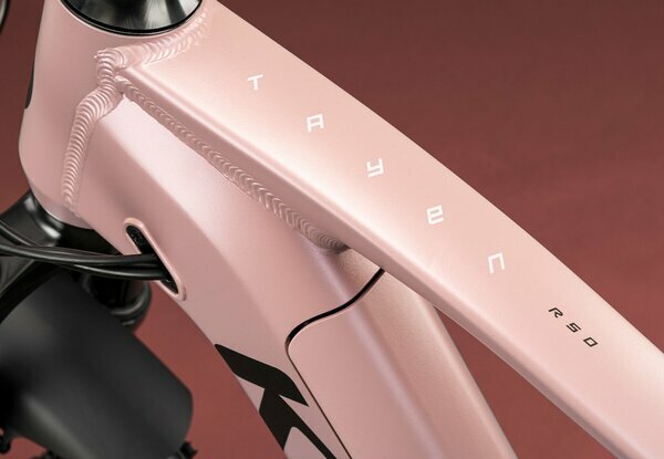 TAYEN R10 P ROSE GOLD 29" 725Wh 3.