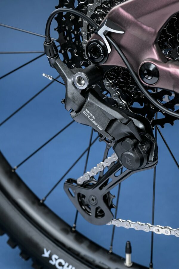THEOS AX20 MAGIC ICE 29" 800 Wh 5.