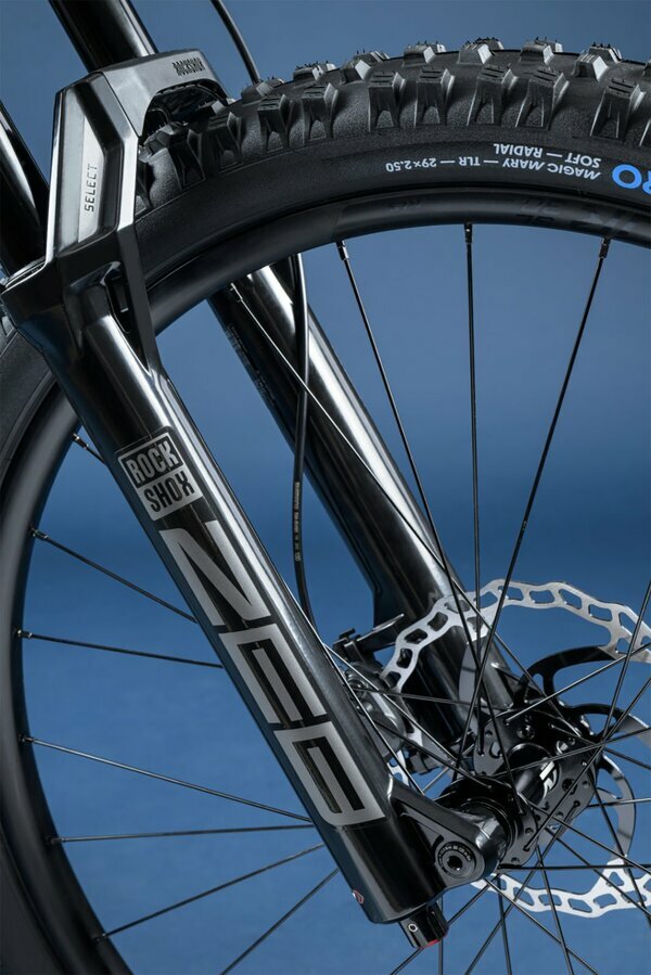 THEOS AX40 STARDUST 29" 800 Wh 1.