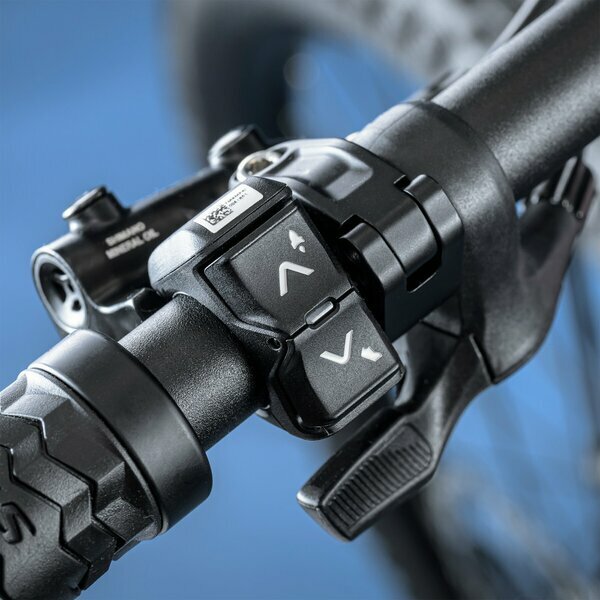 THEOS AX20 MAGIC ICE 29" 800 Wh 1.
