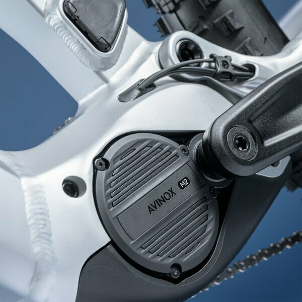 THEOS AX40 RUTHENIUM 29" 800 Wh 6.