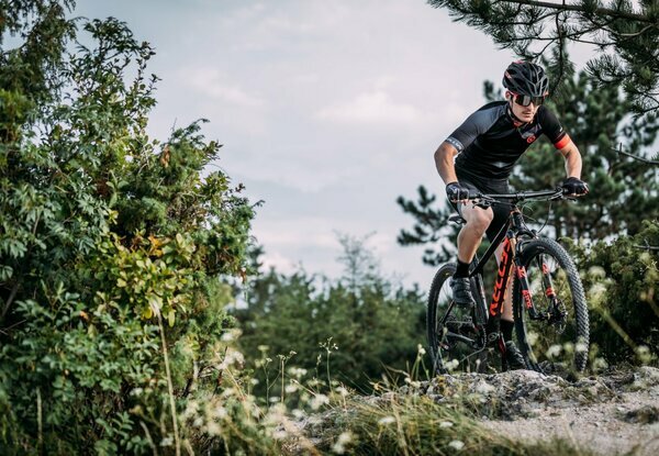 GATE 30 WHITE 29" 1.