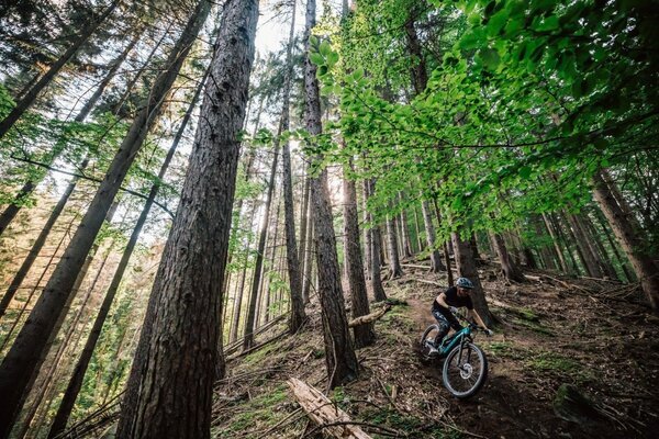 THEOS F50 SH TEAL 29/27.5" 725 Wh 2.