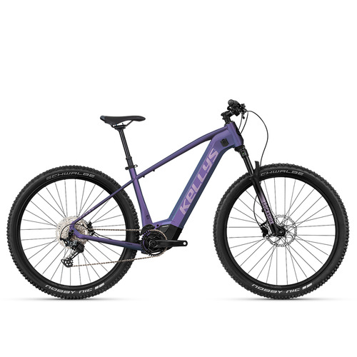 TAYEN R90 P 27.5" 725 Wh