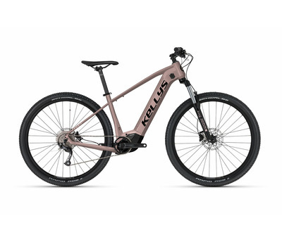 TAYEN R10 P ROSE GOLD 27.5" 725Wh