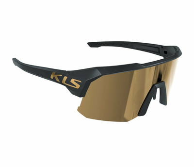DICE II GOLD POLARIZED