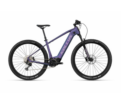 TAYEN R90 P 29" 725 Wh