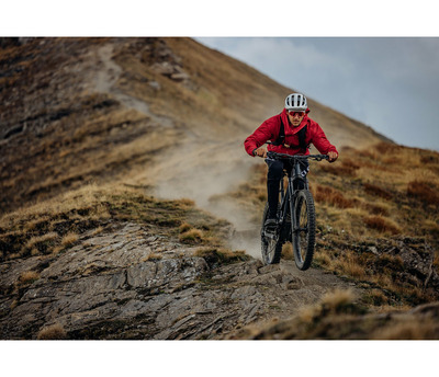 THEOS F70 SH 29/27.5" 820 Wh